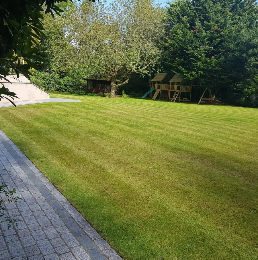 Beautifully striped lawn maintenance by Perfect Paving Belfast